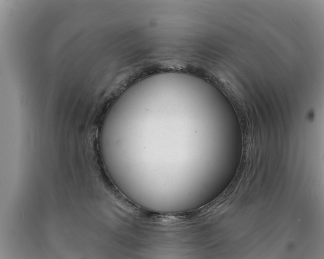 X0000090870229200707271002