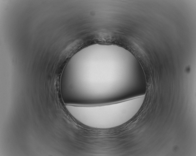X0000090870233200707271001