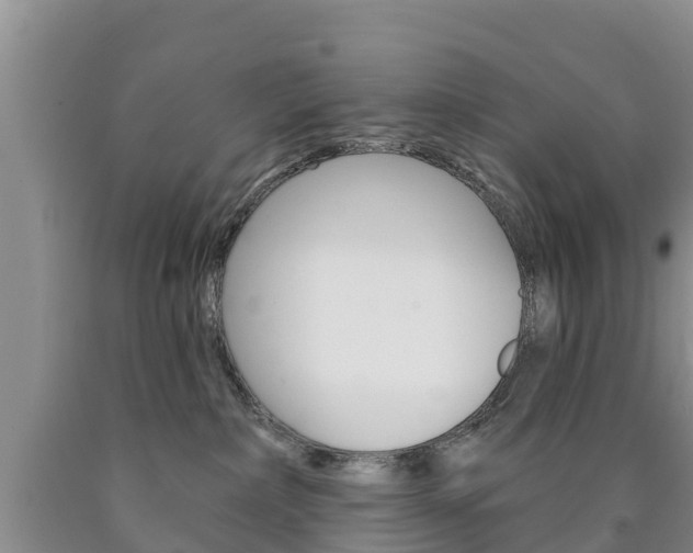 X0000090870236200707271001
