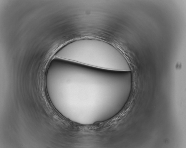 X0000090870241200707271001