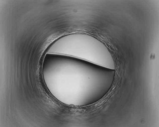 X0000090870242200707271001