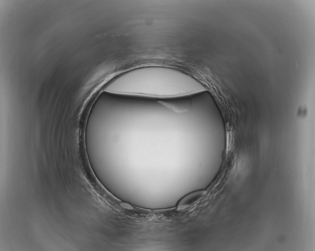 X0000090870243200707271001