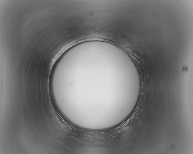 X0000090870244200707271001