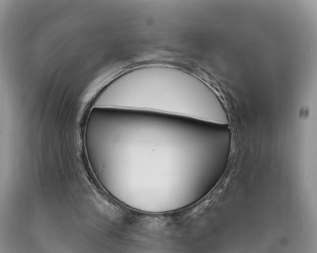 X0000090870245200707271001