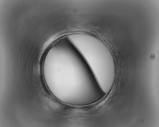 X0000090870246200707271001