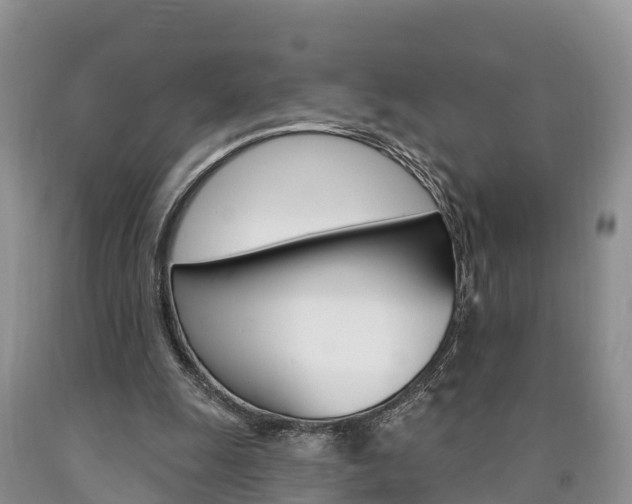 X0000090870247200707271001