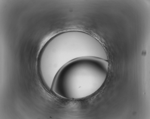 X0000090870248200707271001