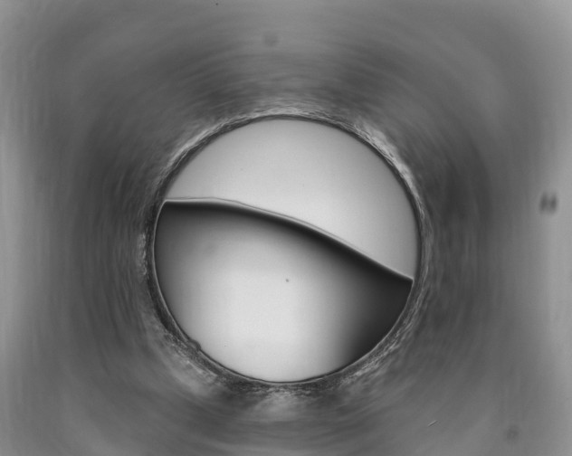 X0000090870249200707271001