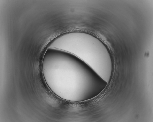 X0000090870250200707271001