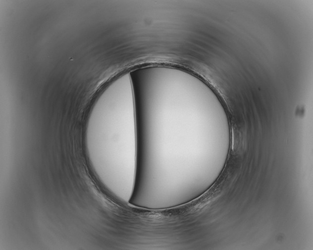 X0000090870253200707271001