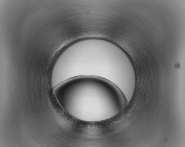 X0000090870256200707271001