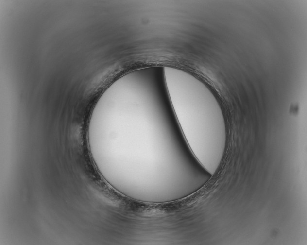 X0000090870258200707271001