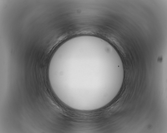 X0000090870260200707271001