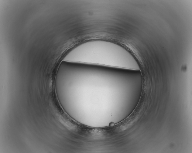X0000090870261200707271001