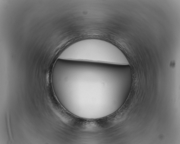 X0000090870262200707271001
