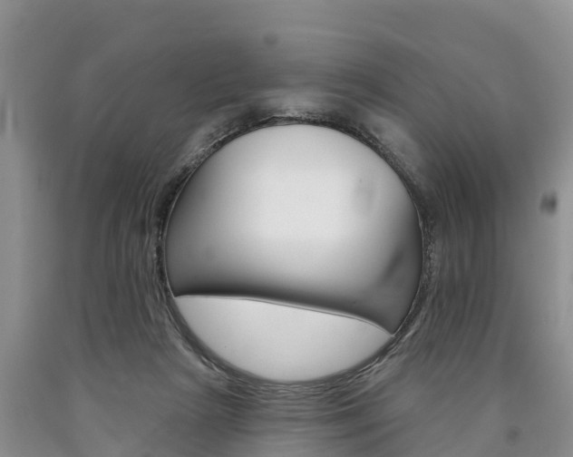 X0000090870265200707271001
