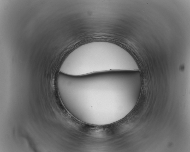 X0000090870267200707271001