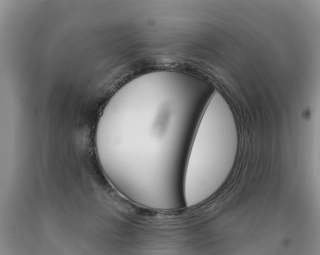 X0000090870270200707271001