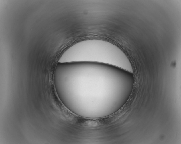X0000090870272200707271001
