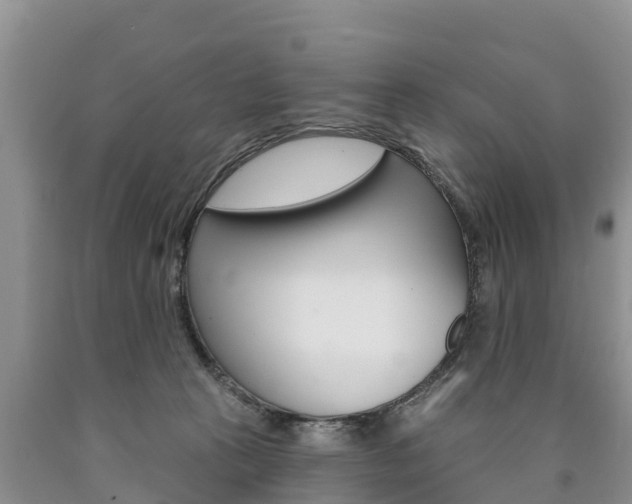X0000090870273200707271001
