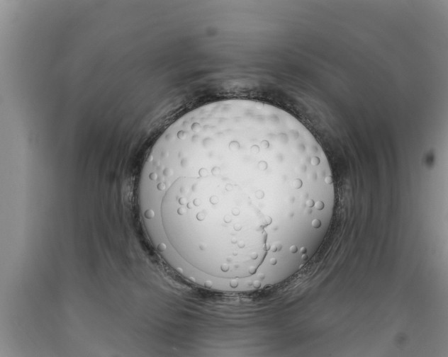 X0000090870278200707271001