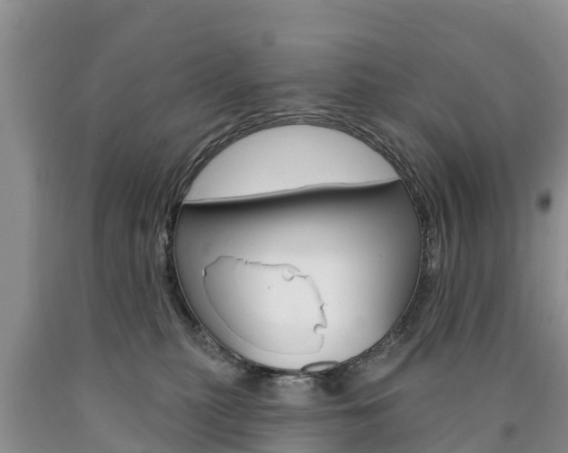 X0000090870279200707271001