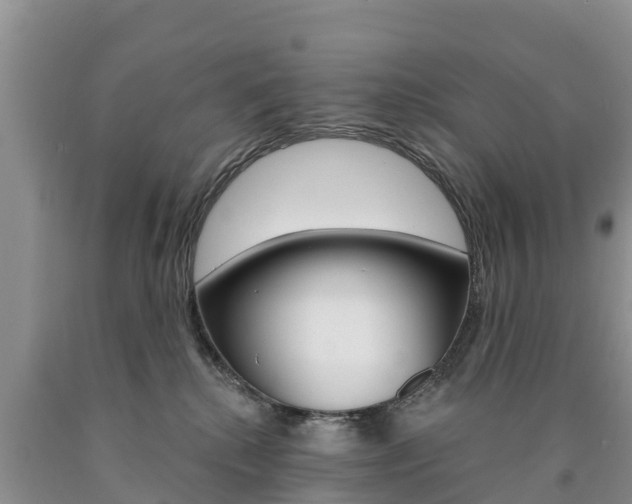 X0000090870280200707271001