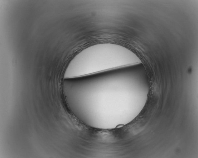 X0000090870283200707271001