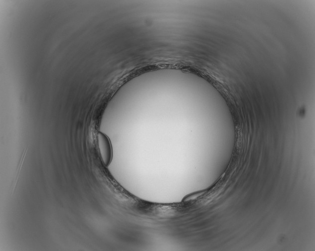 X0000090870287200707271001