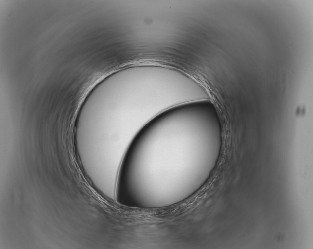 X0000090870289200707271001