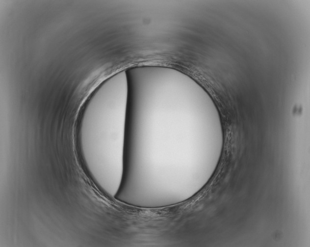 X0000090870290200707271001