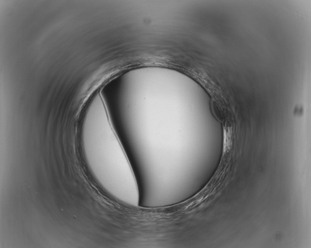 X0000090870291200707271001