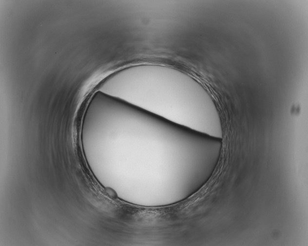 X0000090870294200707271001
