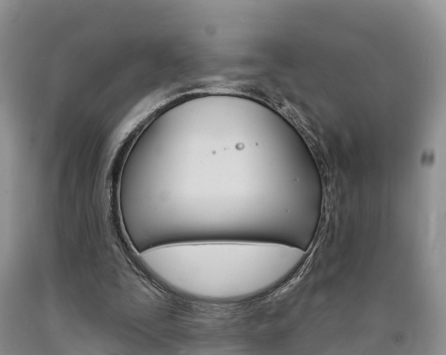 X0000090870295200707271001