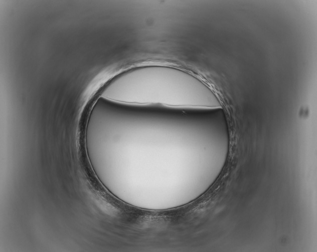 X0000090870296200707271001