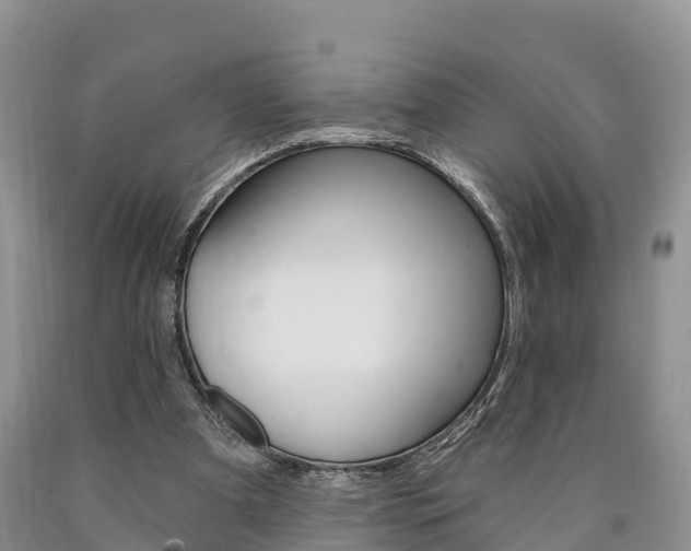 X0000090870297200707271001