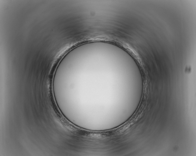 X0000090870298200707271001