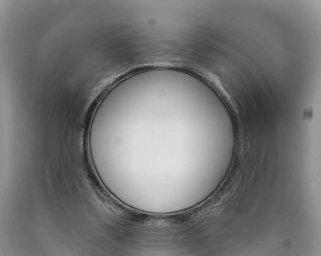 X0000090870299200707271001