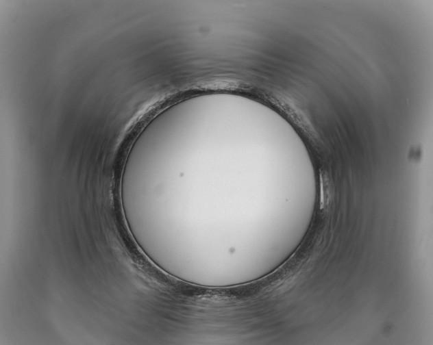 X0000090870300200707271001