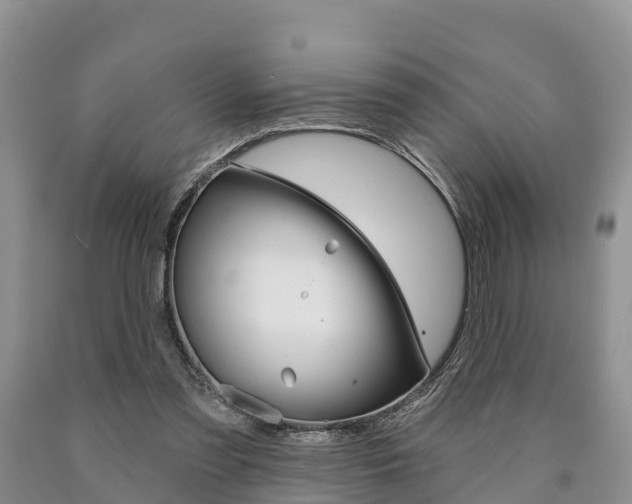 X0000090870301200707271001