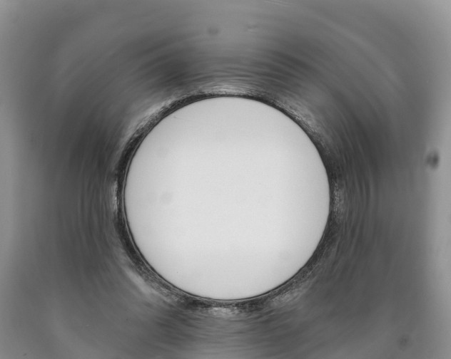 X0000090870302200707271001