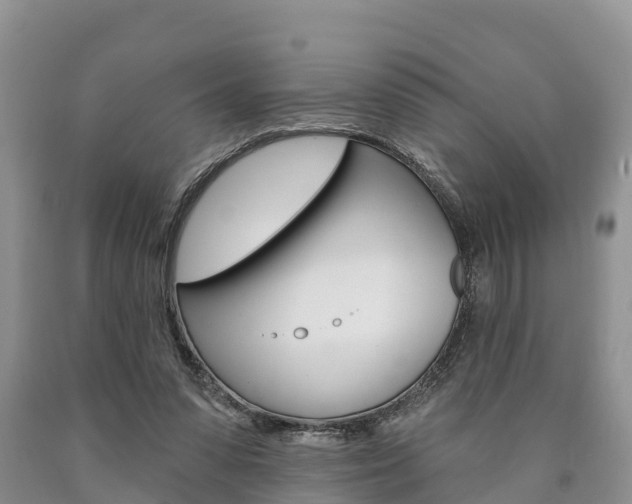 X0000090870303200707271001