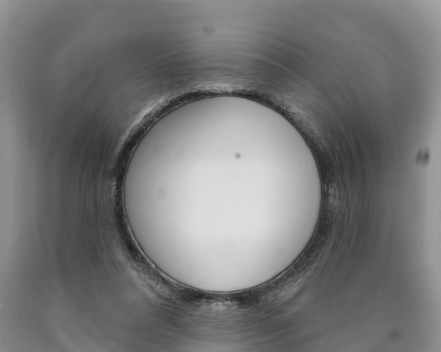 X0000090870304200707271001