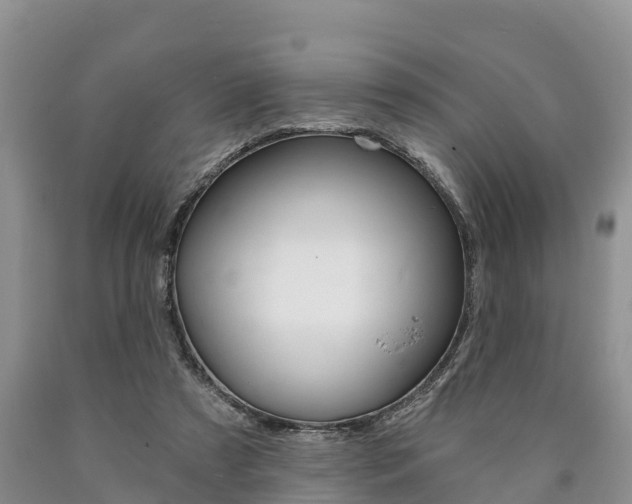 X0000090870305200707271001