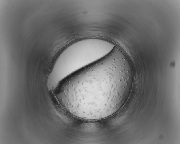 X0000090870307200707271001