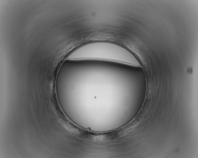 X0000090870309200707271001