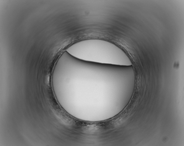X0000090870310200707271001