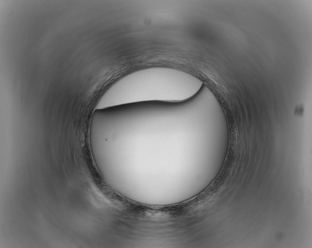 X0000090870311200707271000