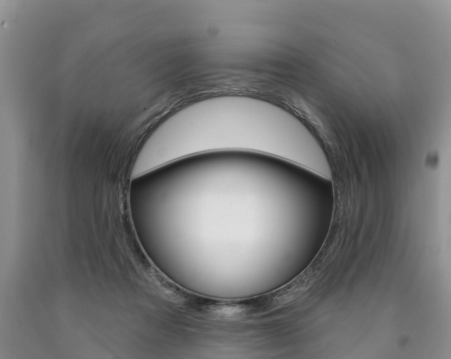 X0000090870313200707271000