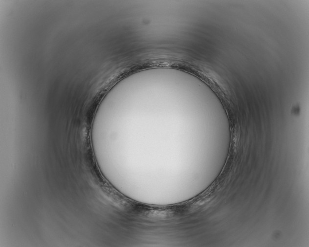 X0000090870314200707271000
